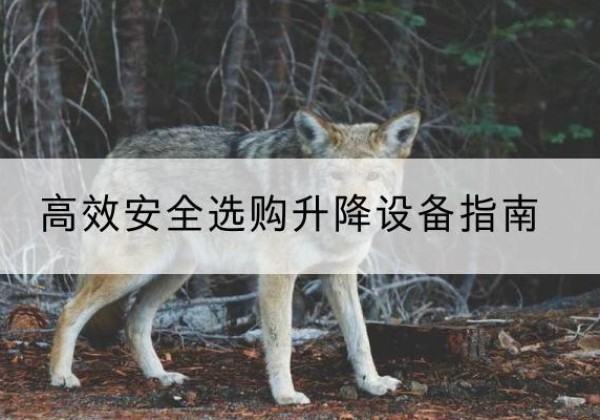 盘龙升降货梯厂家推荐-*安全选购升降设备指南