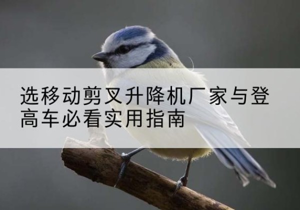 盘龙电动升降机厂家-选移动剪叉升降机厂家与登高车必看实用指南