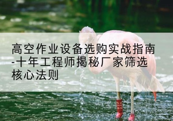 盘龙剪叉式升降机厂家-高空作业设备选购实战指南-十年工程师揭秘厂家筛选核心法则